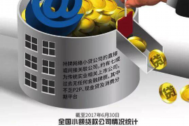 盐田债务清欠服务